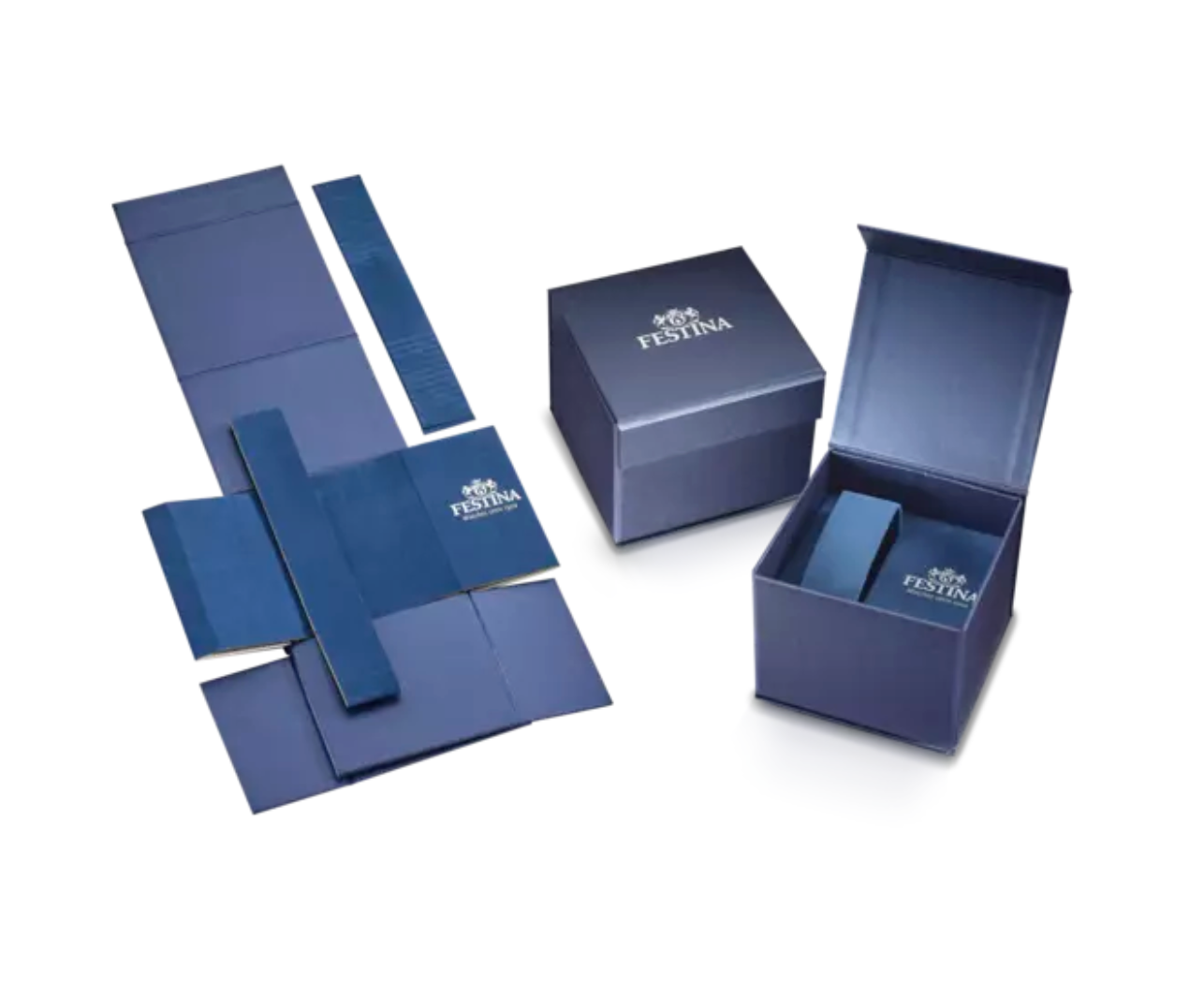 Montre FESTINA Acier Classique Gris