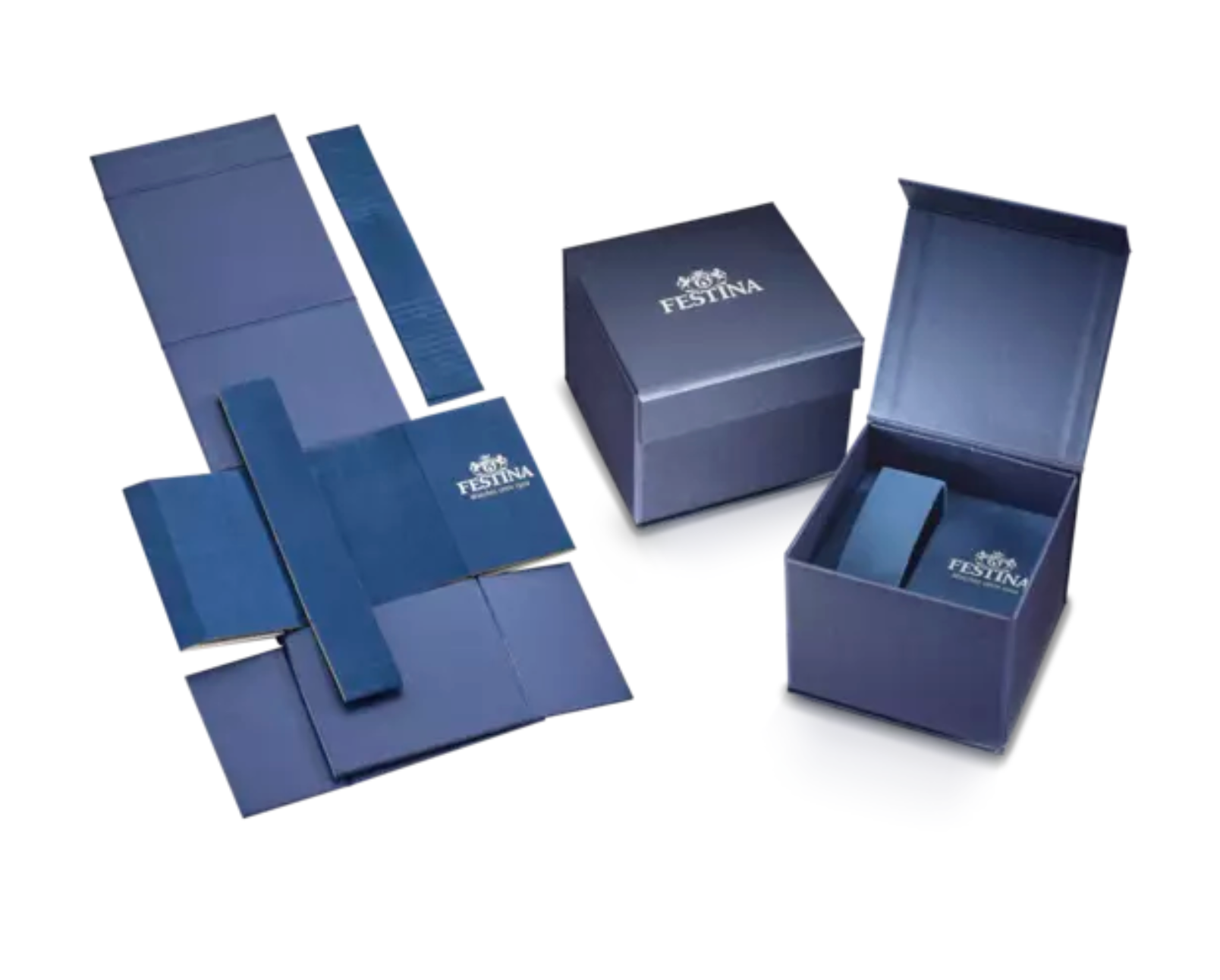 Montre FESTINA Gris Argenté, Bracelet Cuir