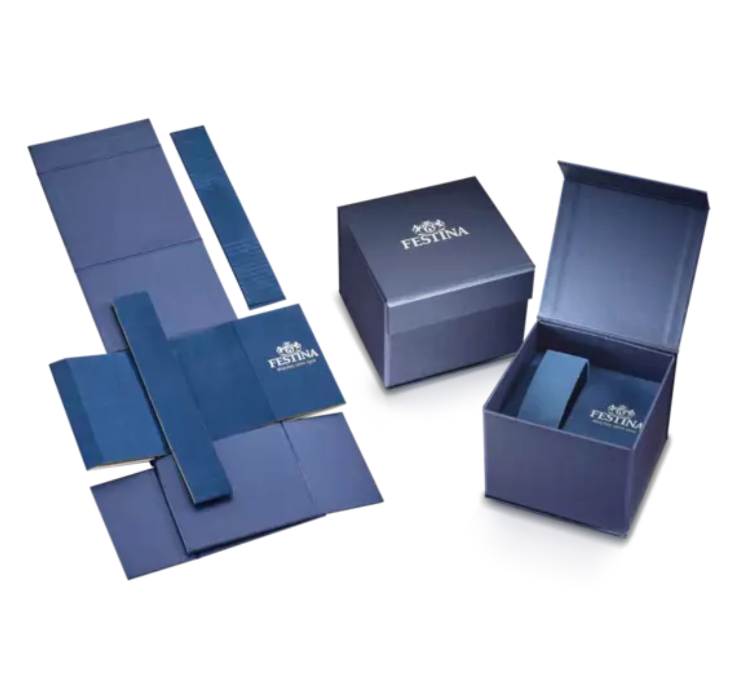 Montre FESTINA TIMELESS CHRONOGRAPH Bleu