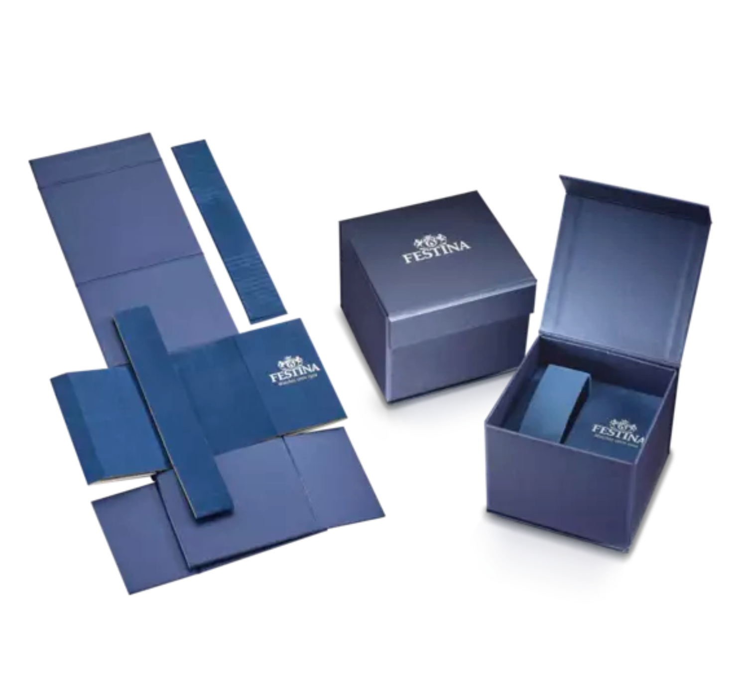 Montre FESTINA TIMELESS CHRONOGRAPH Bleu