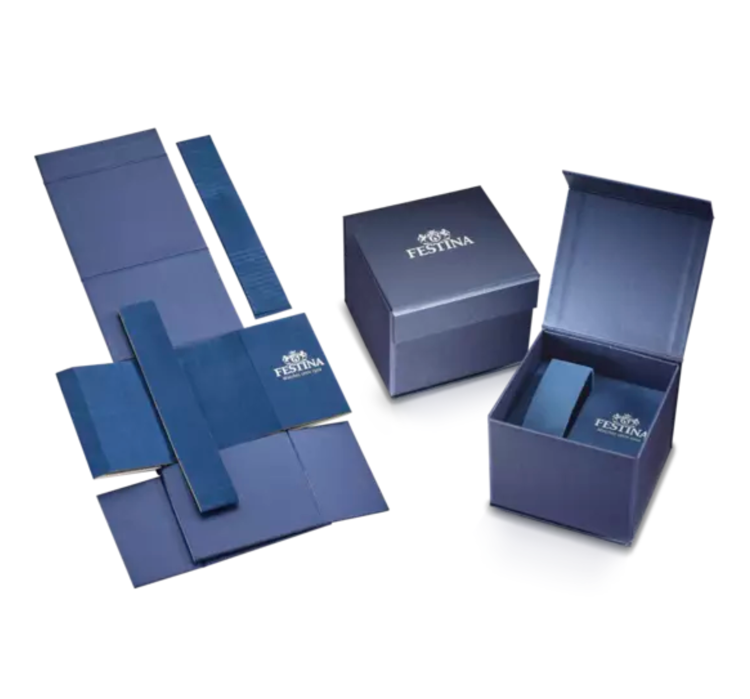 Montre FESTINA MULTIFONCTION Bleu